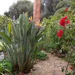Feliz * São Bartolomeu de Messines