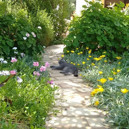 Feliz דירה São Bartolomeu de Messines