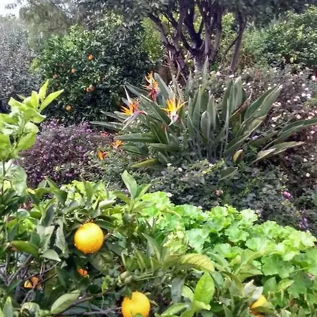Feliz * São Bartolomeu de Messines