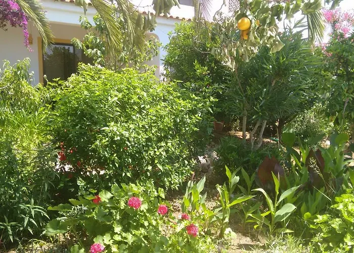 Feliz São Bartolomeu de Messines