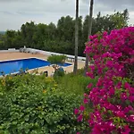 Feliz Apartament *