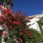 Feliz