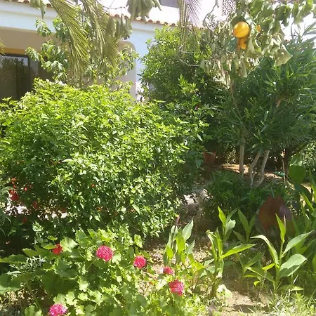 Feliz São Bartolomeu de Messines