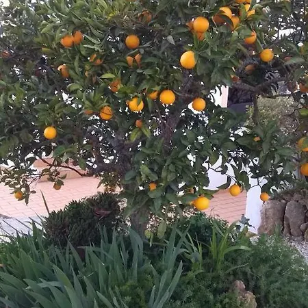 Feliz Апартаменты