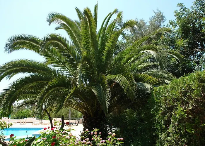 Feliz Apartament São Bartolomeu de Messines