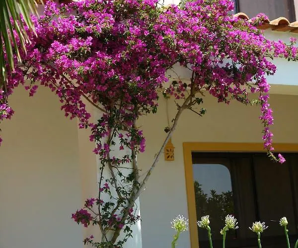 Apartament Feliz São Bartolomeu de Messines