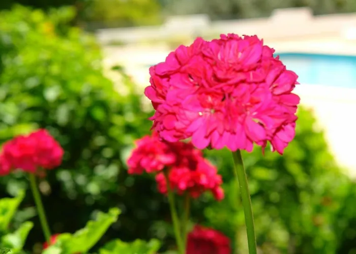 Apartament Feliz São Bartolomeu de Messines