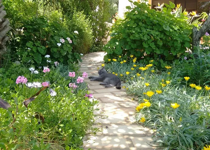 Feliz Apartament São Bartolomeu de Messines