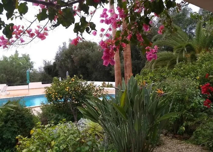 Feliz São Bartolomeu de Messines