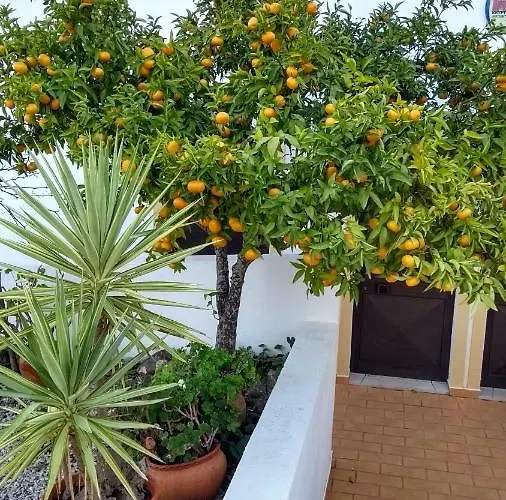 Apartament Feliz São Bartolomeu de Messines