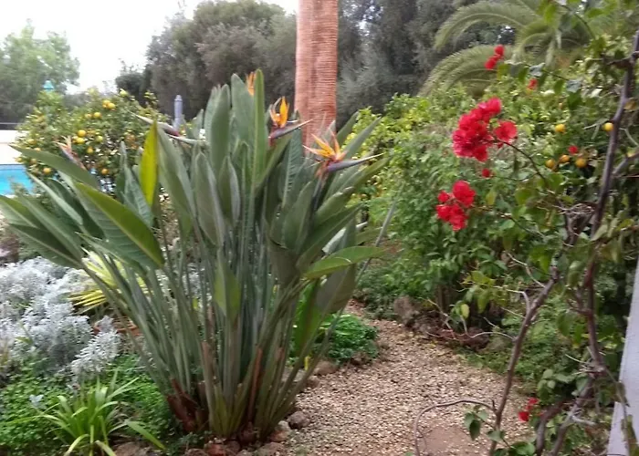 Feliz * São Bartolomeu de Messines