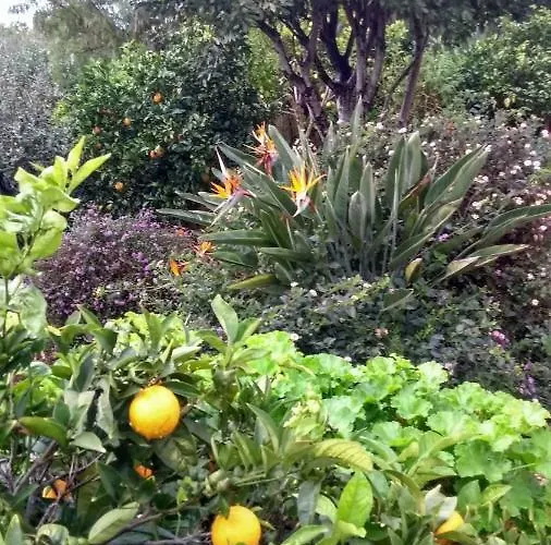 Feliz * São Bartolomeu de Messines