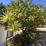 Feliz Apartment