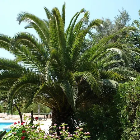 Feliz Apartamento São Bartolomeu de Messines