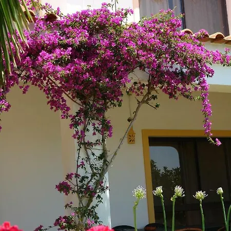 Apartamento Feliz São Bartolomeu de Messines