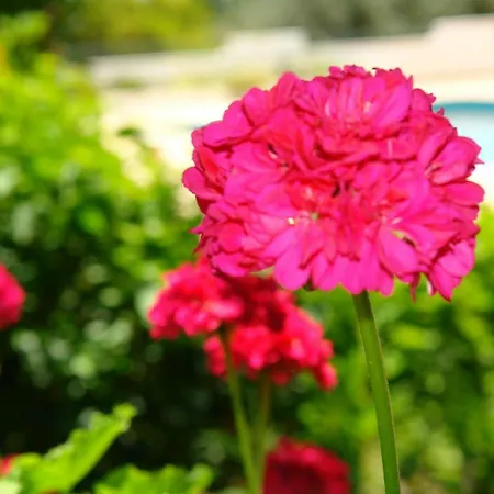 Apartamento Feliz São Bartolomeu de Messines