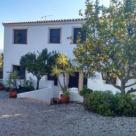 Feliz São Bartolomeu de Messines