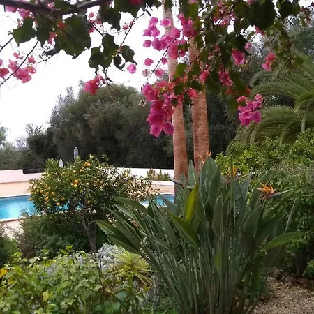 Feliz São Bartolomeu de Messines