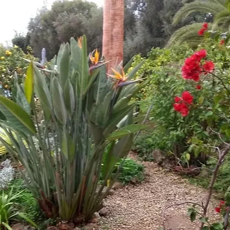 Feliz * São Bartolomeu de Messines